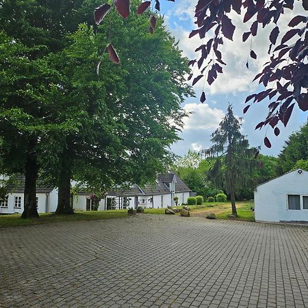 Trandafir Guesthouse Эгтвед Экстерьер фото