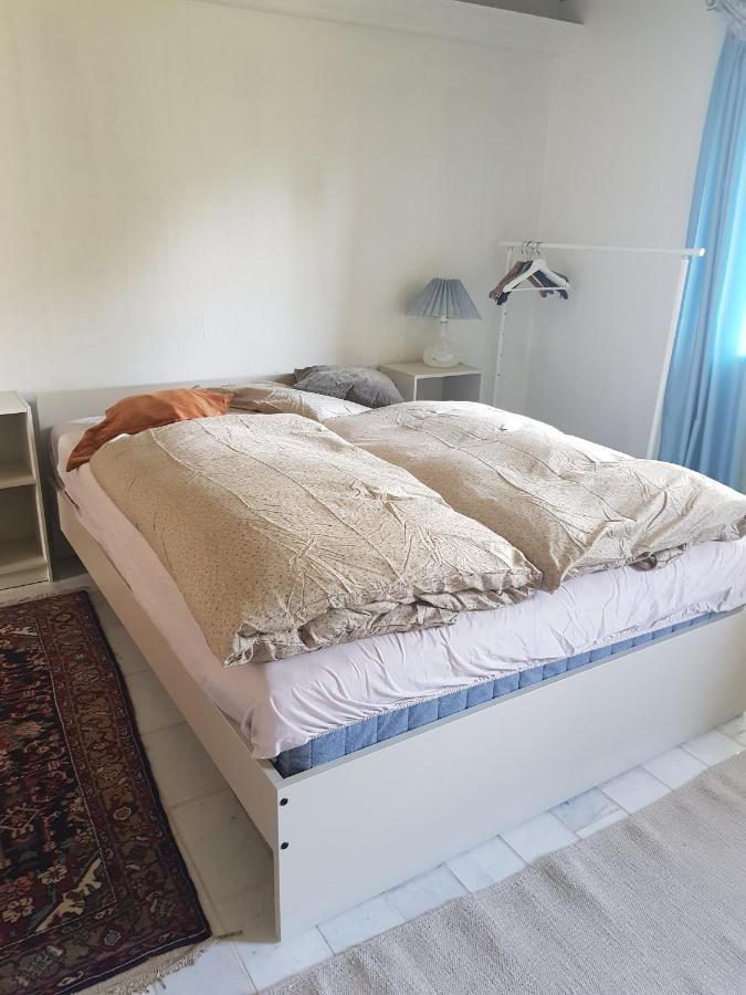 Trandafir Guesthouse Эгтвед Экстерьер фото