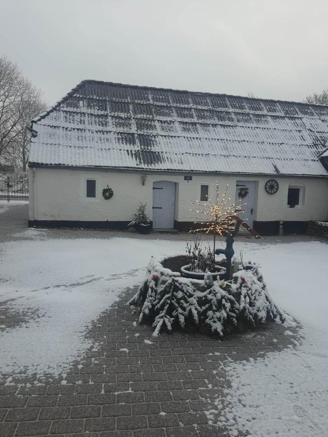 Trandafir Guesthouse Эгтвед Экстерьер фото