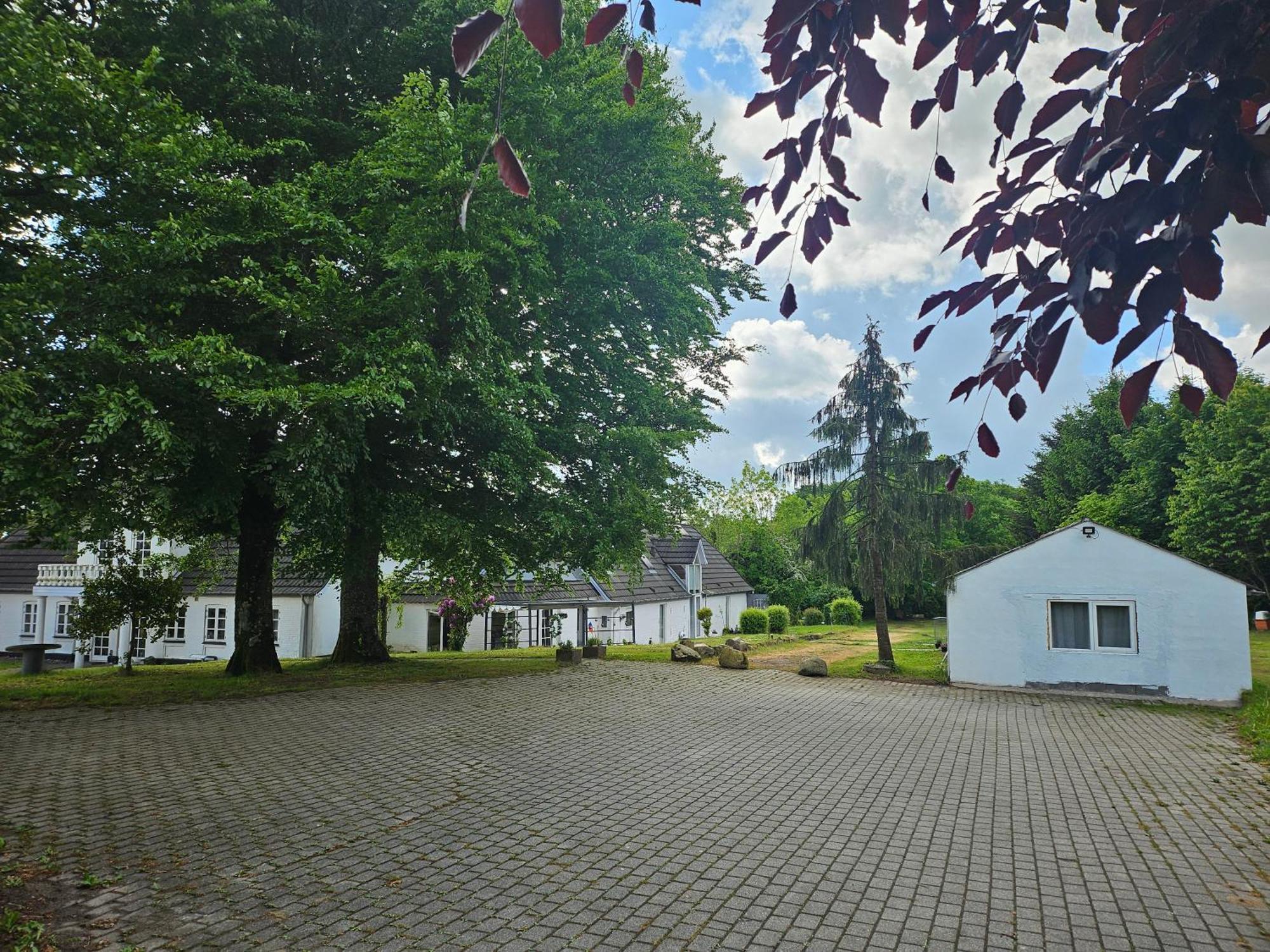 Trandafir Guesthouse Эгтвед Экстерьер фото
